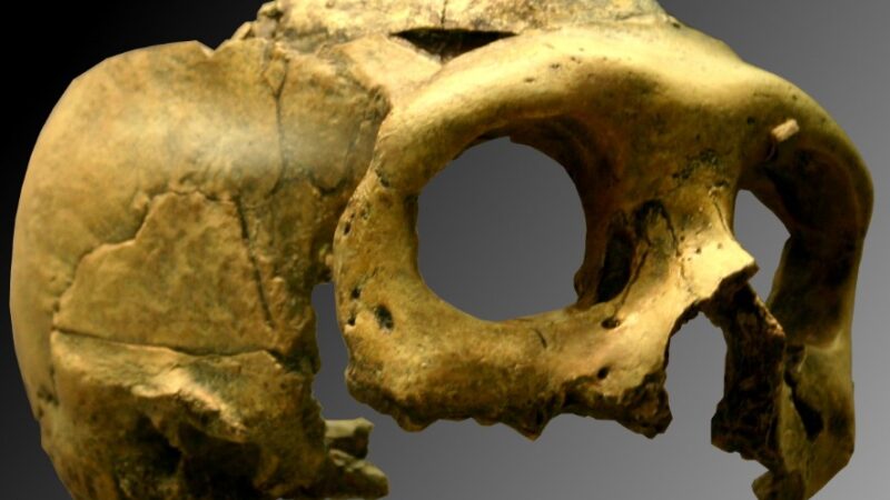 Misterija neandertalaca iz Krapine: zašto su umirali mladi?